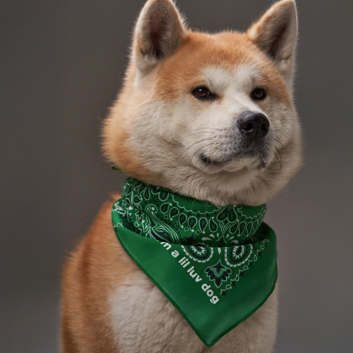 the bandana