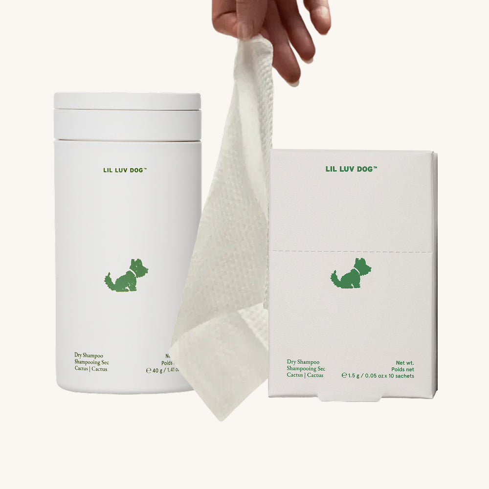 cactus flower