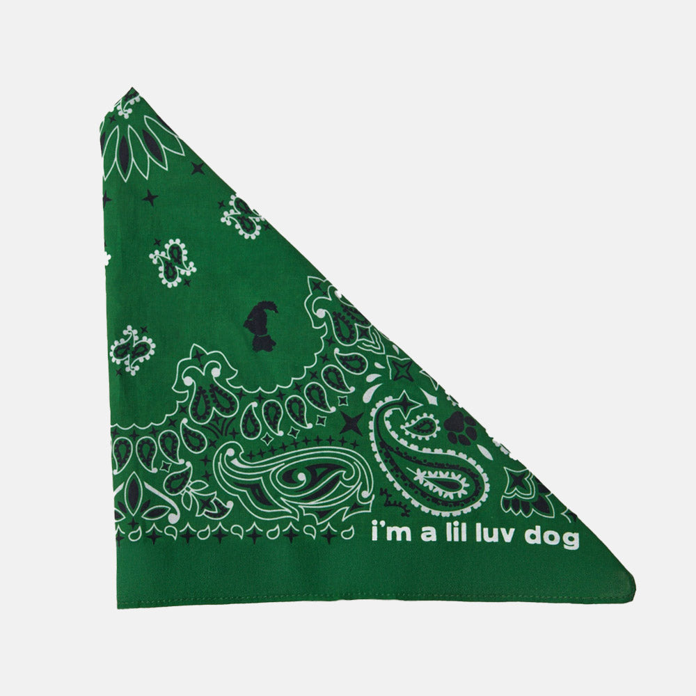 the bandana