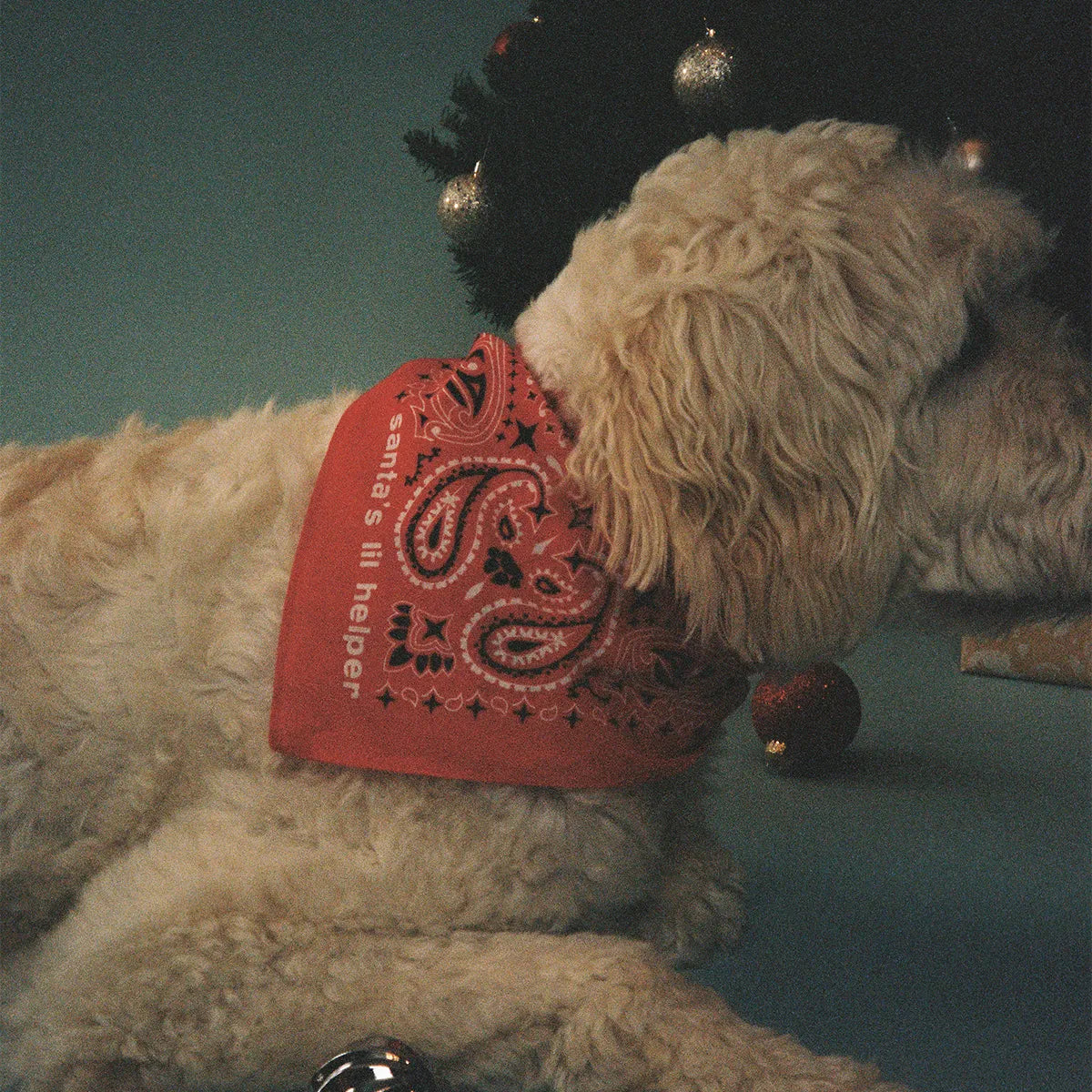 holiday bandana