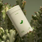 cactus flower