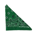 the bandana