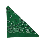 the bandana