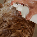 Oat