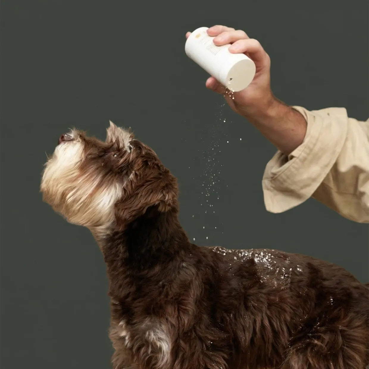 oat