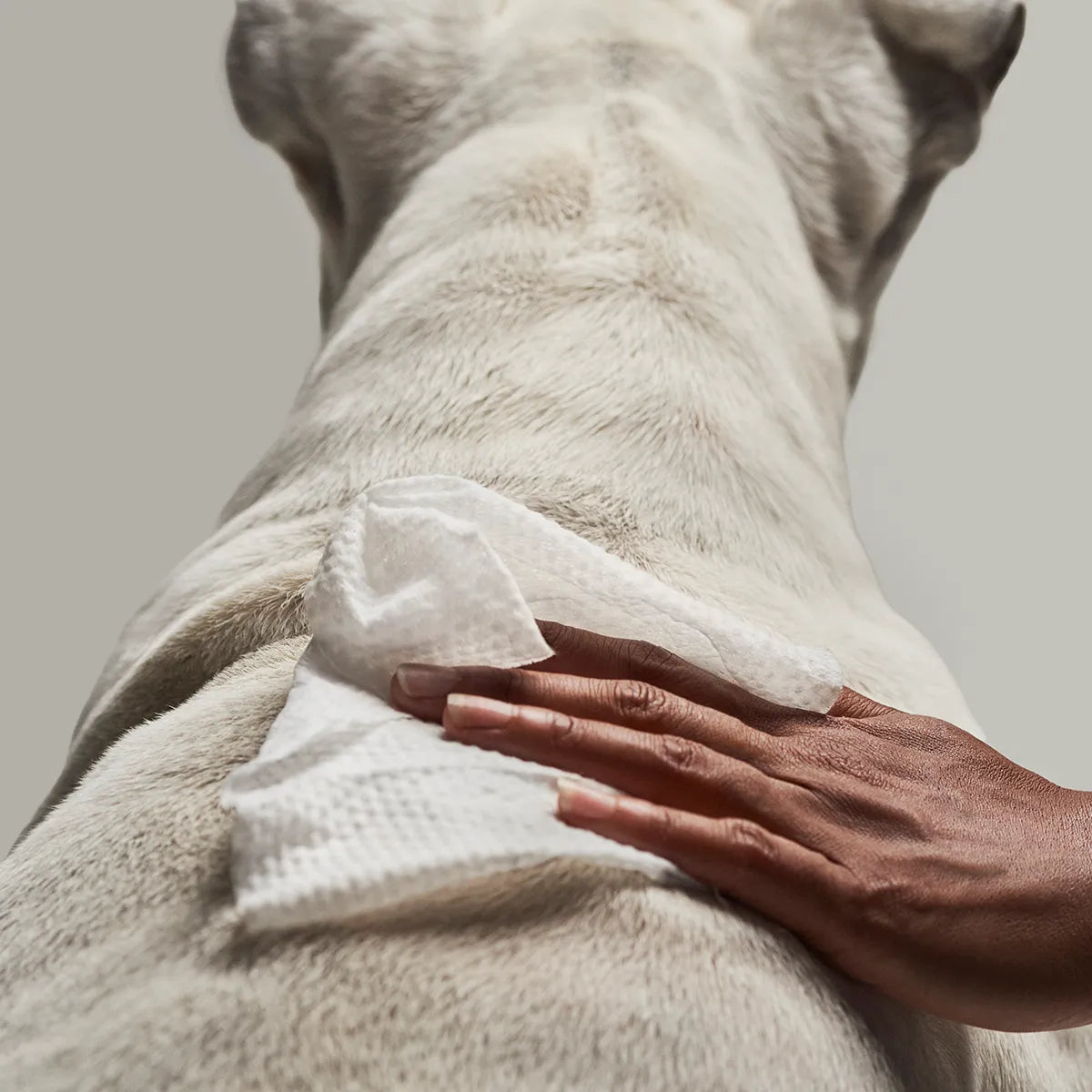 oat